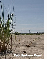 Cape Cod Waterfront Property, Provincetown