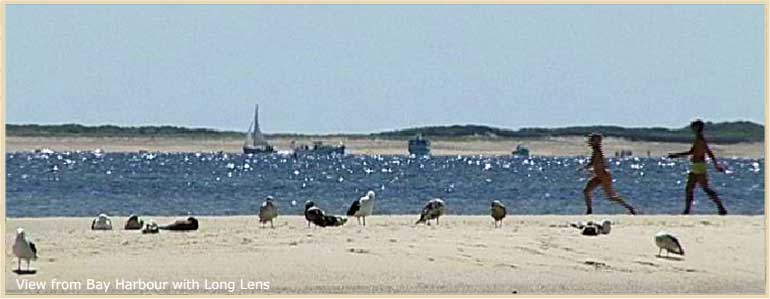 Beachview2