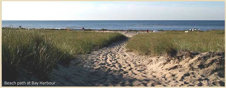Path