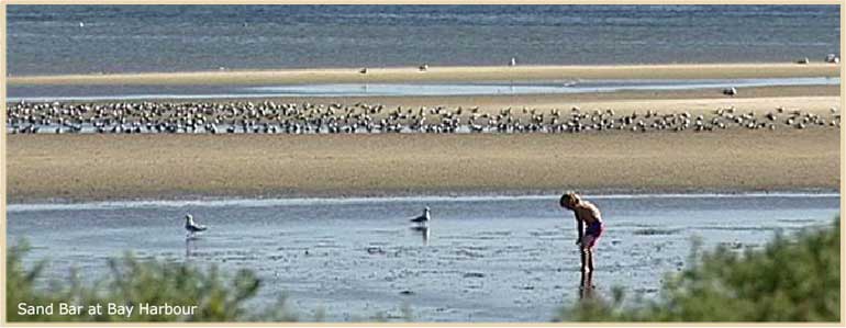 Sandbar