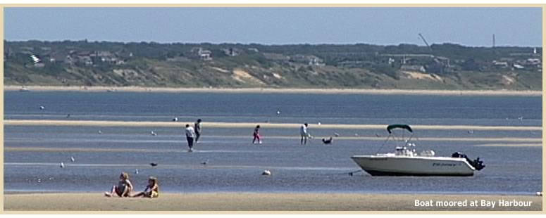 Oceanview Properties, Cape Cod